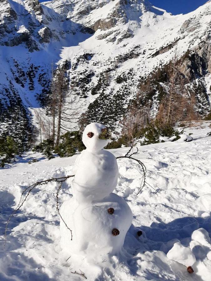 Villa Nebina Rateče Esterno foto